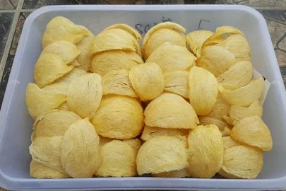 jual-sarang-walet-kuning-3