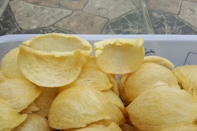 jual-sarang-walet-kuning-6