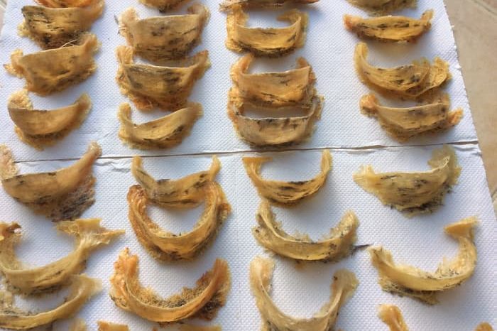 jual-sarang-walet-kuning-7