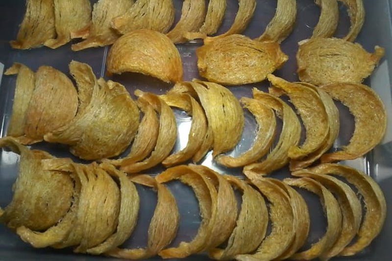 jual-sarang-walet-kuning-8