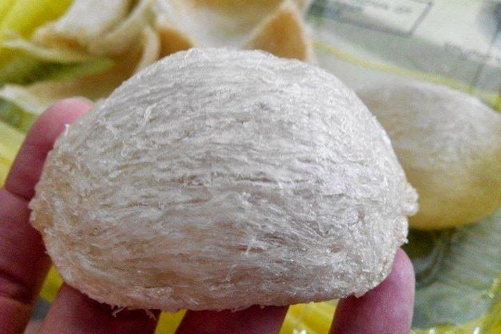 jualsarangburungwaletmangkokmurah1