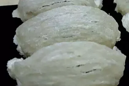 jualsarangburungwaletmangkokmurah5