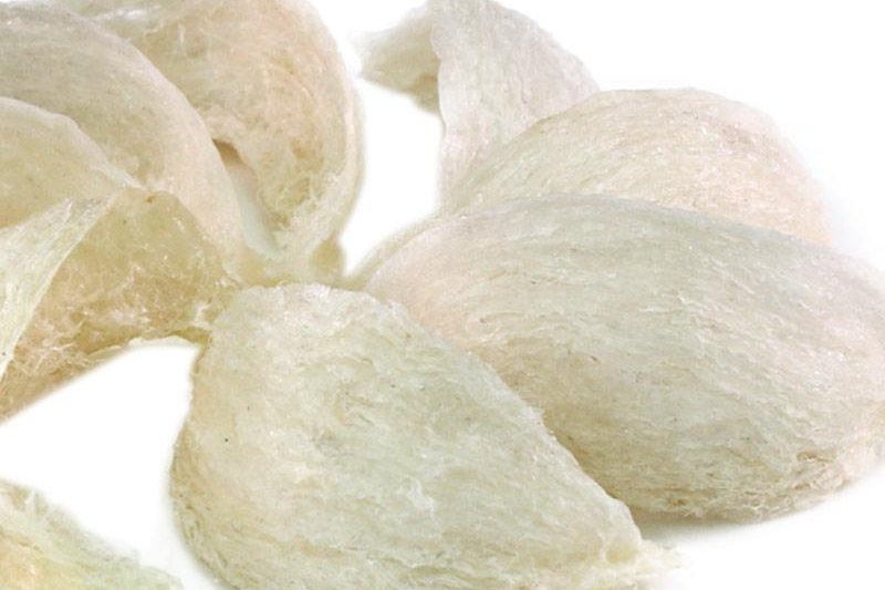 jualsarangburungwaletmangkokmurah6