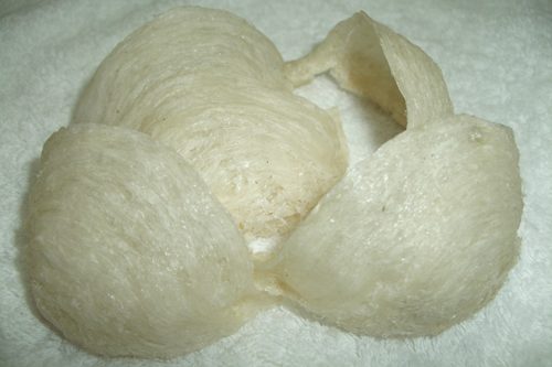 jualsarangburungwaletmangkokmurah8